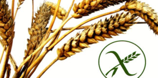 SIN GLUTEN, CON CONCIENCIA