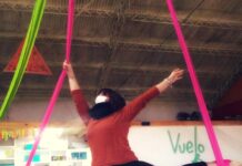 CIEN DÍAS SIN VOLAR