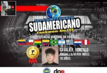 SUDAMERICANO VIRTUAL CON FESTEJOS ALLENSES