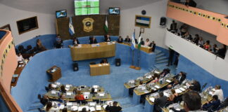 UN PROFESIONAL HACE LA DIFERENCIA