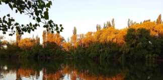 DESAFÍO A LAS ISLAS: SE COMPLETÓ EL CUPO EN UNAS HORAS