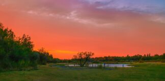 CAMINAR EN FAMILIA MIENTRAS CAE EL SOL