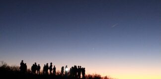 ALLEN TE INVITA A UN VIAJE A LAS ESTRELLAS