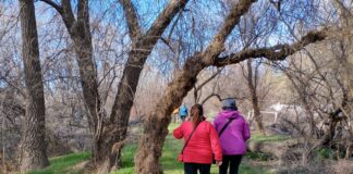 TURISMO EN CASA: DESCUBRÍ LOS ATRACTIVOS DE LA ISLA 16 DE ALLEN