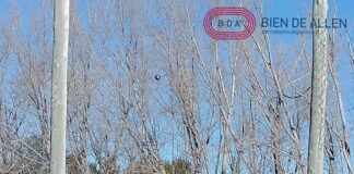 RÍO NEGRO YA TIENE SU EQUIPO DE ATLETISMO PARA LA ARAUCANÍA