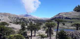 GEOCAMINATAS, UN PASEO POR LA HISTORIA DE NUESTRO PAISAJE