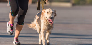 HACER DEPORTE CON MI PERRO: ¿CÓMO CUIDARLO Y DISFRUTAR JUNTOS?