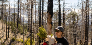 ALIANZA ESTRATÉGICA PARA IMPULSAR LA RECUPERACIÓN ECOLÓGICA DE LA CORDILLERA