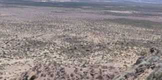 ALERTA POR FUERTES VIENTOS: SUSPENDEN EVENTOS EN TODA LA REGIÓN