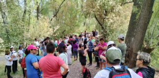 DÍA MUNDIAL DEL AUTISMO: CAMINATA, JUEGOS E INTEGRACIÓN EN ALLEN