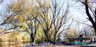 CERVANTES CALIENTA LA TEMPORADA CON SU TRIATLÓN DE INVIERNO