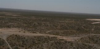 OTRO INTENTO DE ROBO EN LA BARDA DE ALLEN