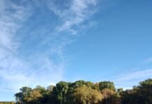 ORGANIZAN UNA SALIDA PARA LIMPIAR EL RÍO NEGRO