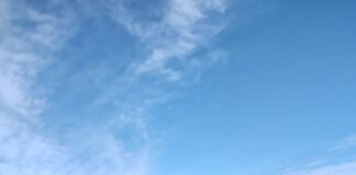 ORGANIZAN UNA SALIDA PARA LIMPIAR EL RÍO NEGRO