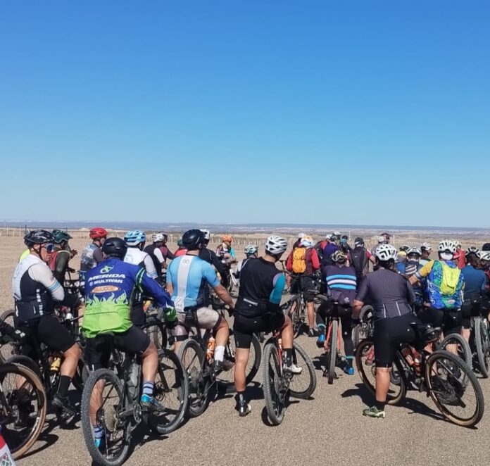 WhatsApp Image 2025-11-20 at 10.14.57 AM