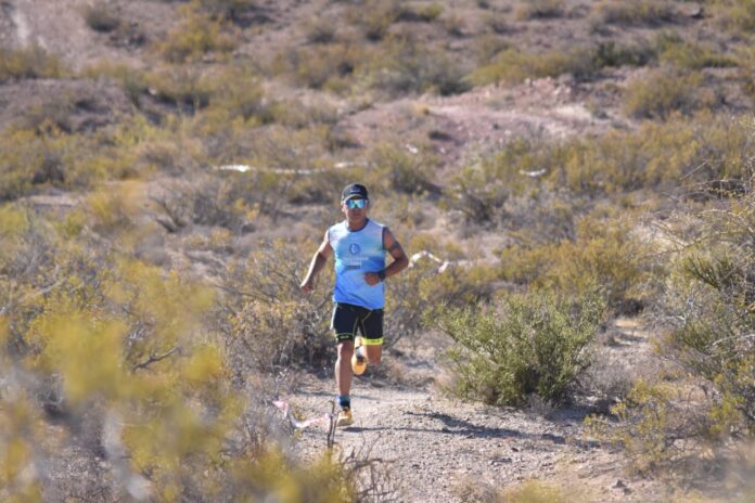 WhatsApp Image 2026-02-15 at 2.05.10 PM